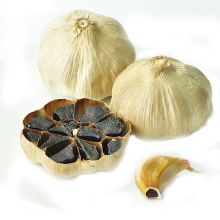 Chinese fermented black garlic extract price